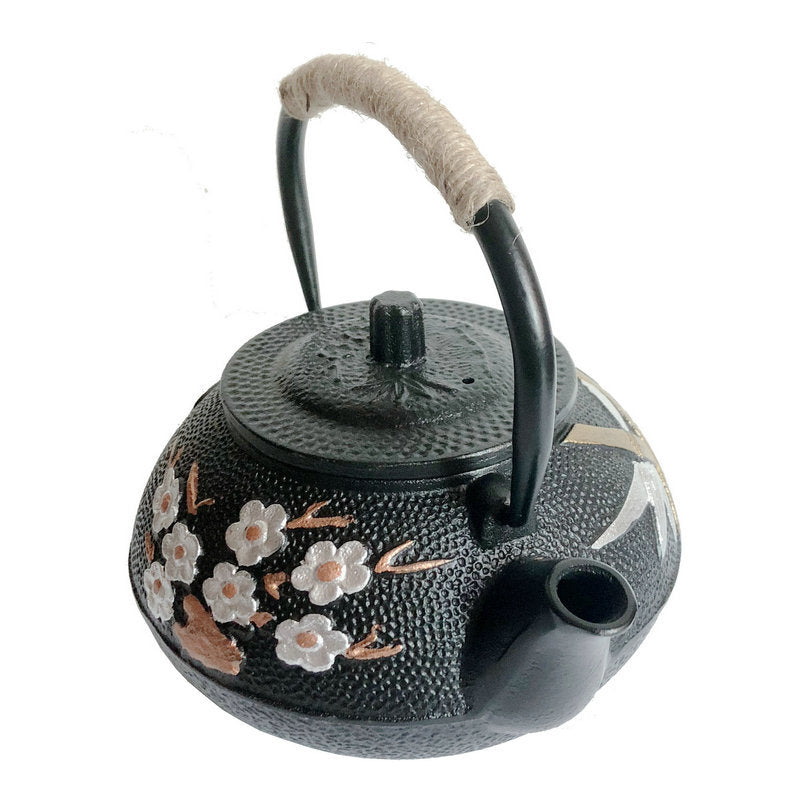 Japanese cast iron teapot
